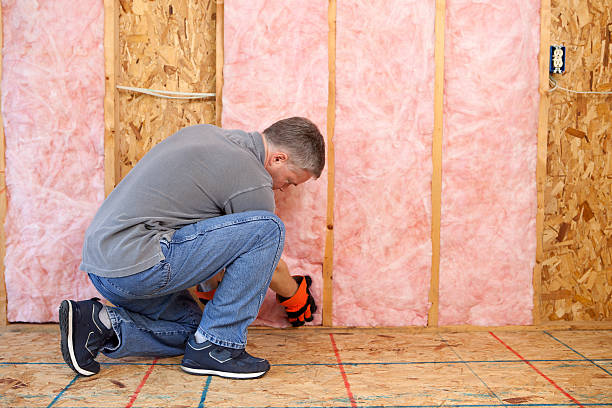 Best Eco-Friendly or Green Insulation Solutions  in Hillsborough, CA